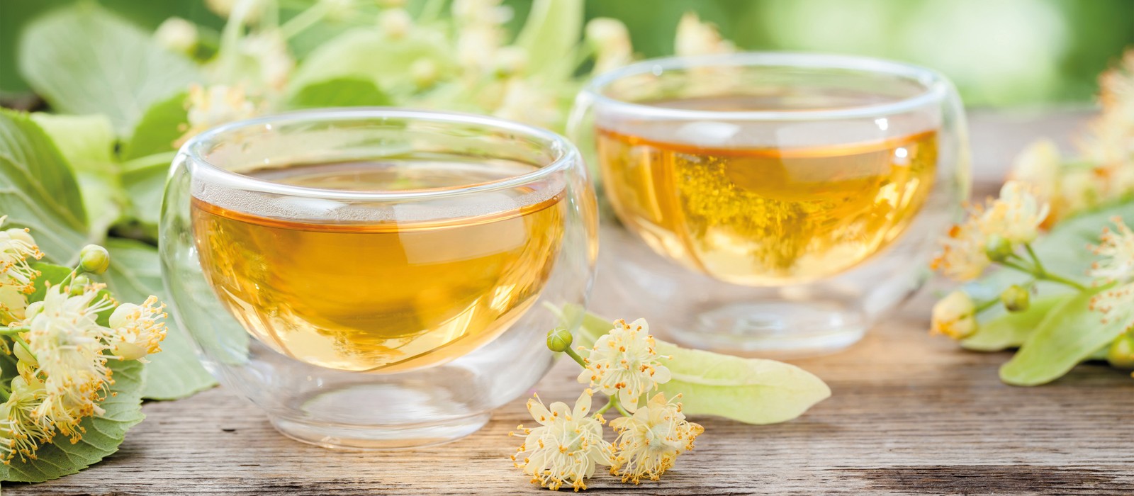 Zwei Gläser mit Kräutertee stehen auf einem Holztisch, umgeben von Lindenblüten und grünen Blättern.