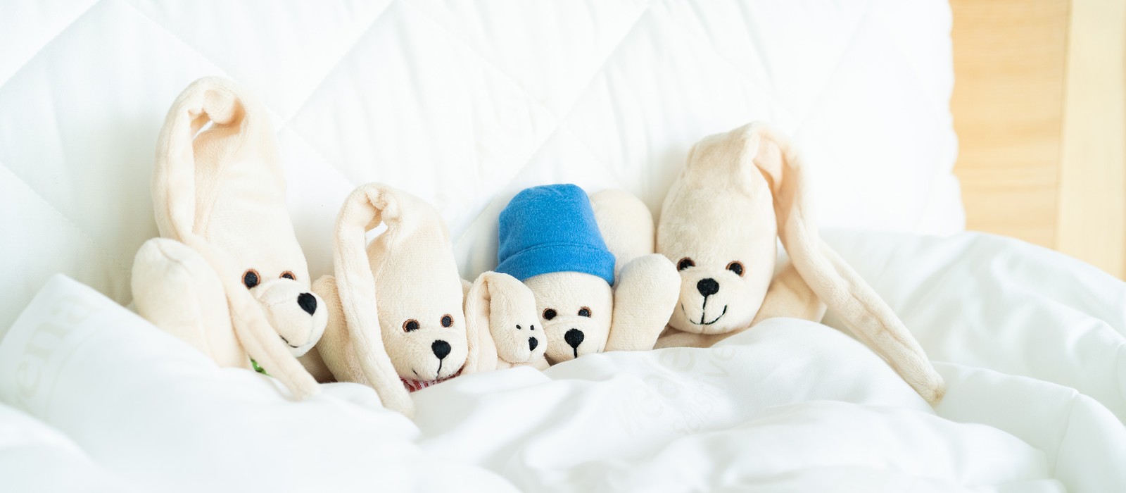 Fünf Kuscheltiere, darunter ein Bär und Hasen, liegen auf einer weißen Bettdecke.
