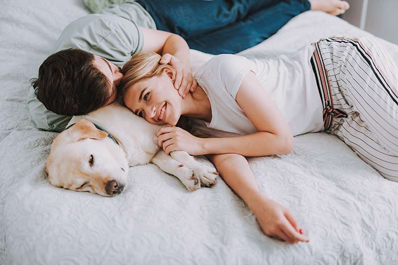 Paar liegt entspannt auf einem Bett, umarmt sich und spielt mit einem schlafenden Hund.